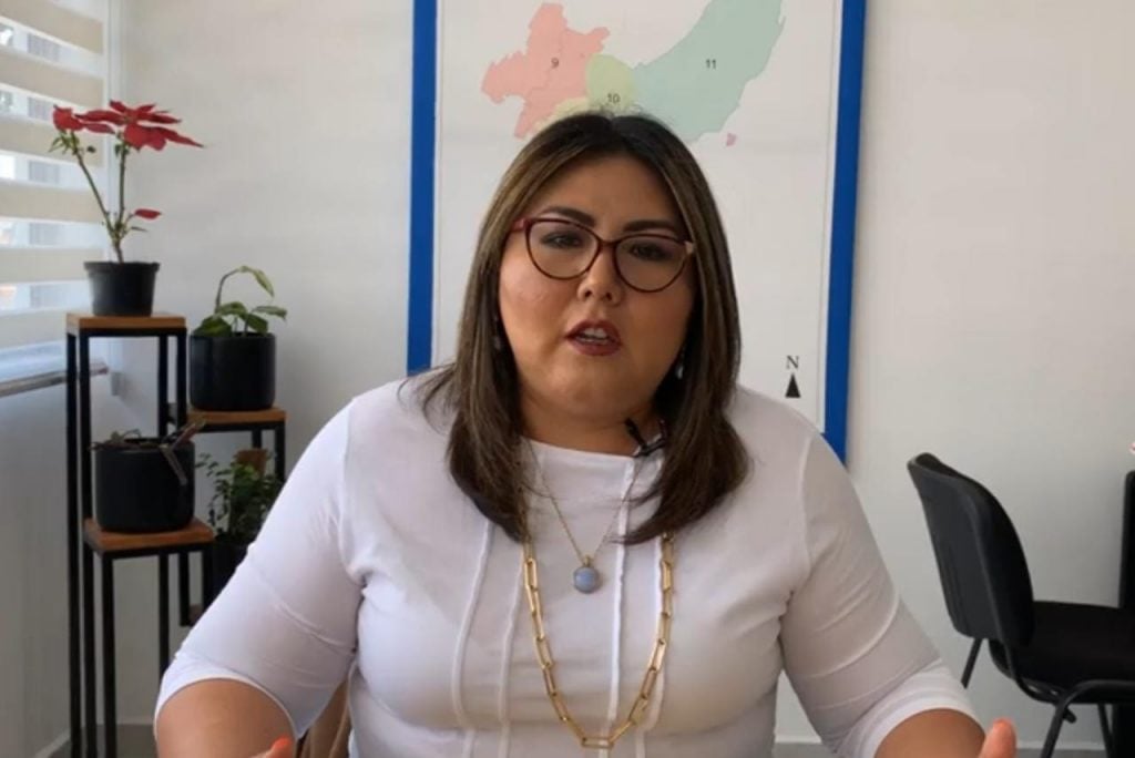 genoveva huerta partido accion nacional