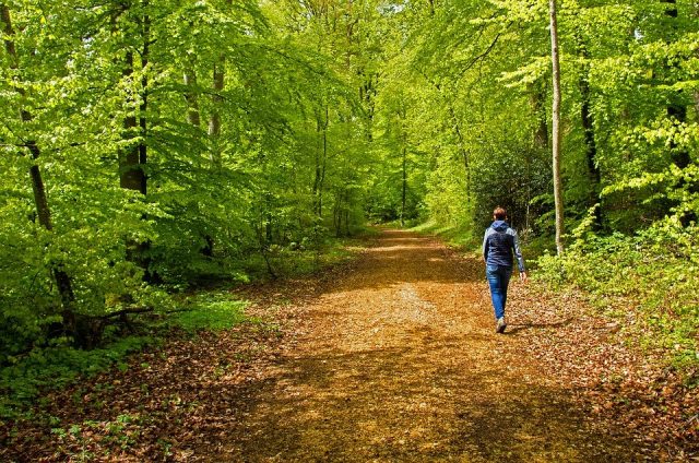 Confirman que las caminatas así sean cortas ayudan a prolongar la vida