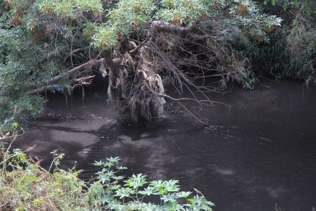 El Estado debe restituir a los afectados por el ecocidio de la Cuenca Atoyac-Zahuapan: representante de la ONU