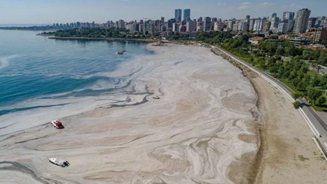 (Video) Turquía continúa en su lucha medioambiental por salvar el mar de Mármara