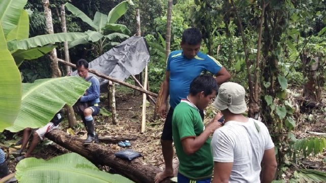 Indígenas de Perú utilizan herramientas tecnológicas para reducir la tala ilegal en la Amazonía