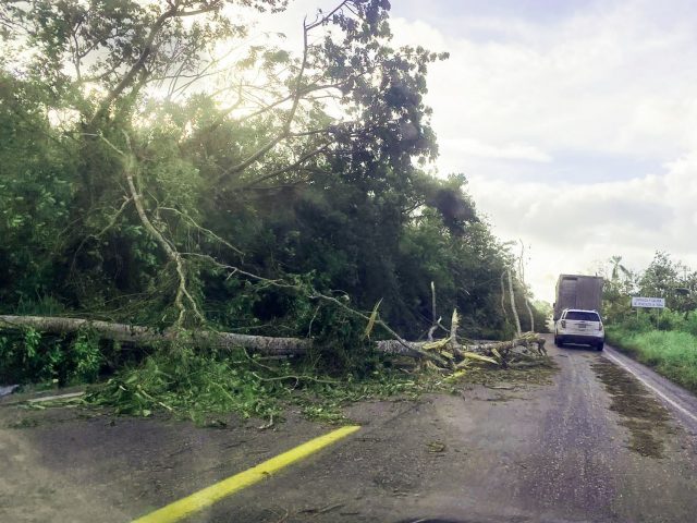 Avanza censo federal en Puebla de daños ocasionados por el Huracán Grace