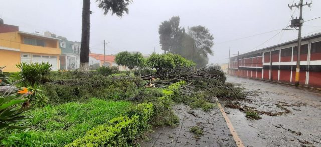 20 mil viviendas fueron afectadas por el paso del huracán Grace: Hill Mayoral