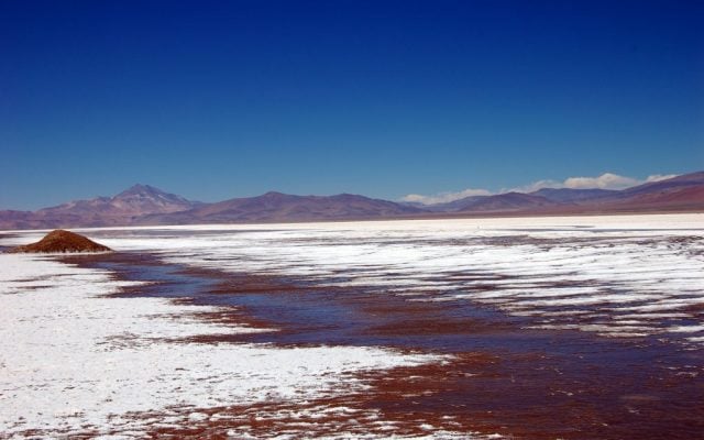 Proyecto de litio del hijo de Francisco Javier Errázuriz enfrenta la oposición de las comunidades Colla en el Salar de Maricunga