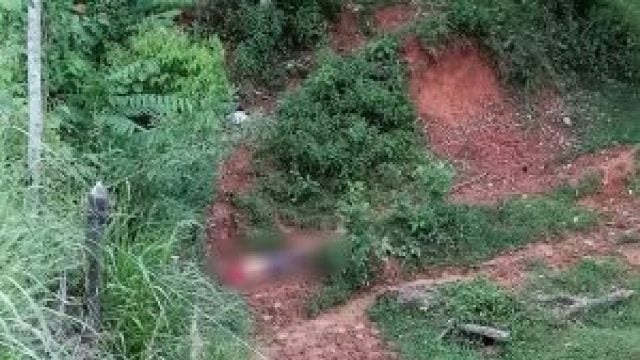 Asesinan a líder campesino Ofénix de Jesús Concha en Colombia