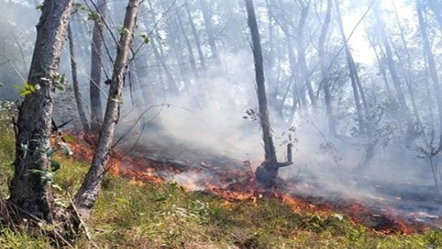 (Video) Comunidad indígena en Brasil se encuentra en riesgo por incendios en Jaraguá