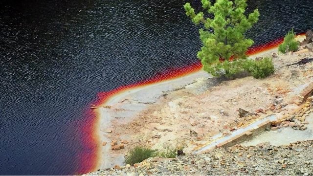 La tierra esta en peligro de una extinción masiva por toxicidad de aguas dulces