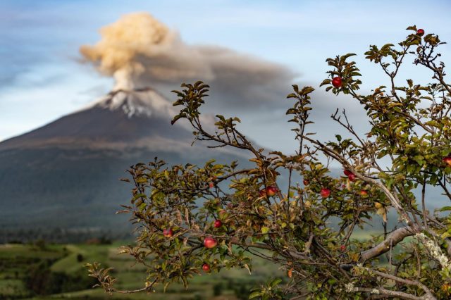 Exposición «Chile a tiempo» engalana al Paseo Bravo