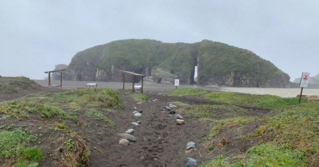 Avión de la Armada se sumará a búsqueda de turistas desaparecidos por marejadas en Cobquecura