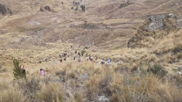 Muertos accidente autobús Bolivia