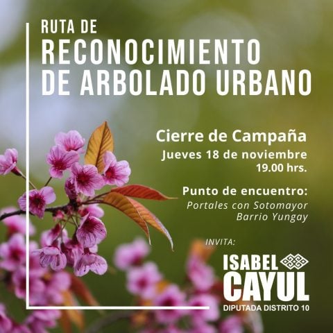 cierre de campaña Isabel Cayul