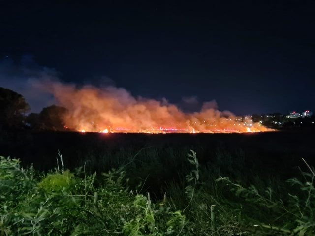 Encuentran restos de pirotecnia en sitio donde partió el incendio que arrasó humedal Paicaví de Concepción