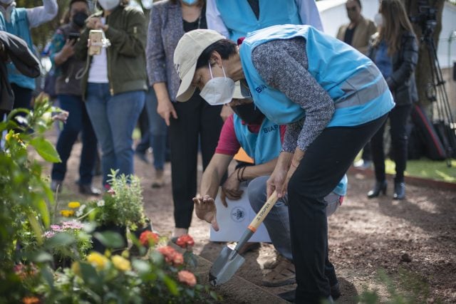 Creará BUAP jardines y andadores para polinizadores