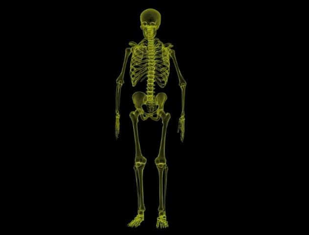 Descubren y describen detalladamente una nueva parte del cuerpo humano