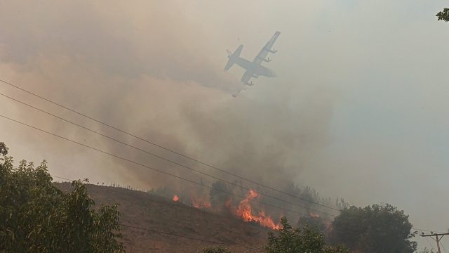 Incendio forestal en Quillón: Alcalde asegura que está contenido, «pero hubo rebrotes donde ya estaba consumido”