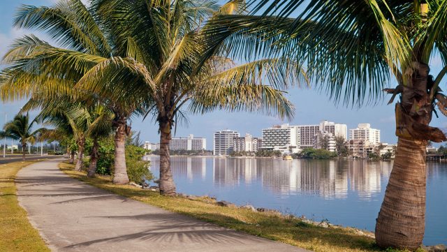 Criptoempresarios se mudan a Puerto Rico por las exenciones de impuestos de la isla