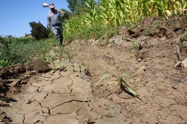 Crítica situación hídrica en El Maule: Alcalde de Pencahue advierte que «no dan abasto» en la entrega de agua con camiones aljibes