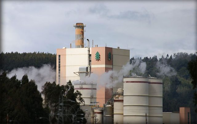 Grupo Angelini: El depredador socioambiental