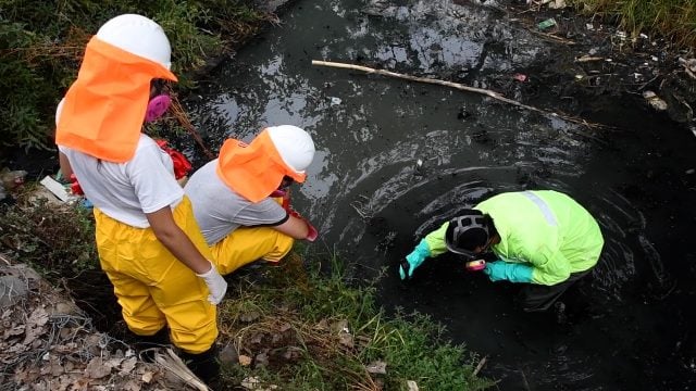 Villa Alemana: Municipio inició plan de gobernanza para recuperar y proteger humedal urbano