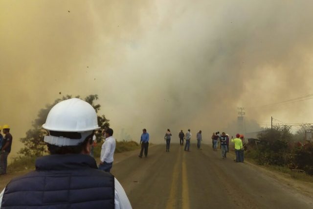 Desarrollan plataforma de monitoreo en tiempo real que pronostica riesgo de incendios hasta con 3 días de anticipación