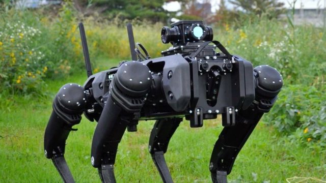 Perros robot desplegará EE.UU. para controlar migración ilegal en frontera con México