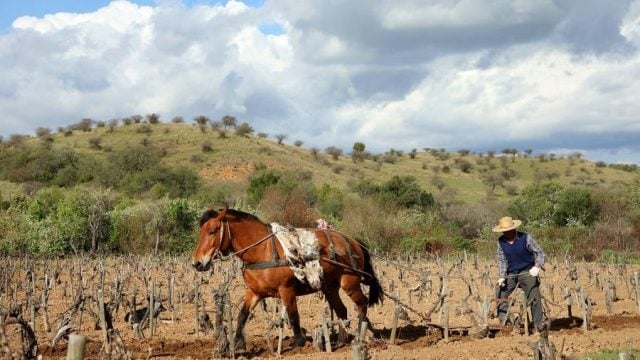 desigualdad rural