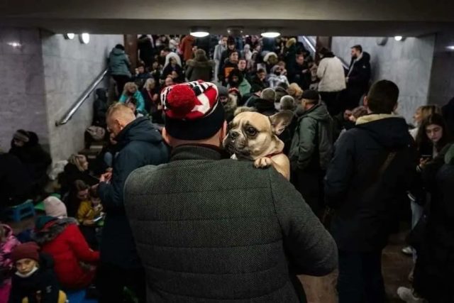 Gente refugiada en Ucrania