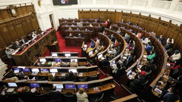 Nueva Constitución: Pleno de la Convención aprueba la creación de las Defensorías del Pueblo, la Niñez y la Naturaleza