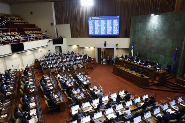 Cámara aprobó proyecto que prohíbe explotación del pompón y las turberas: Ecosistemas contarán con protección ambiental