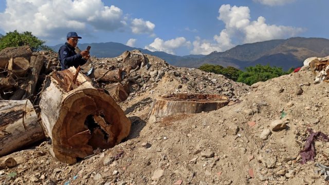 Venezuela: Peasants denounce an «ecocide» after being forcibly evicted from their land by a private textile company