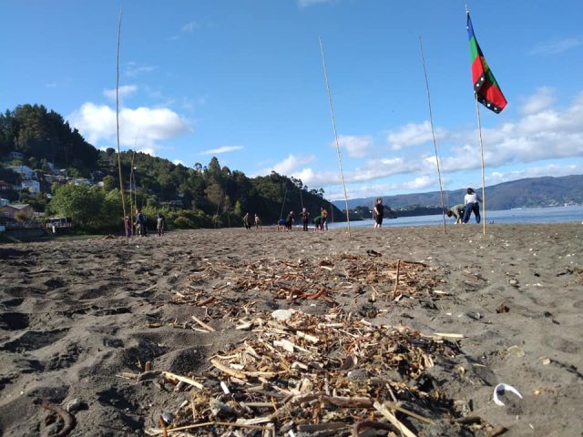 comunidades mapuche costa valdivia