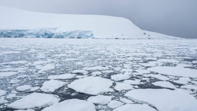 Profundidades de los océanos se calentarán 0,2 grados centígrados en los próximos 50 años