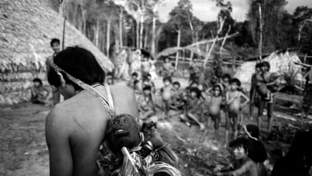 Yanomami