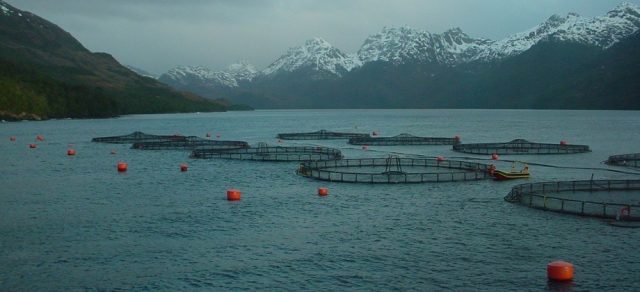 Un desafío urgente para el gobierno del Presidente Boric: Impactos de la Acuicultura en Mares Interiores de Chile, permitidos por una legislación e institucionalidad que atentan contra la sustentabilidad ambiental