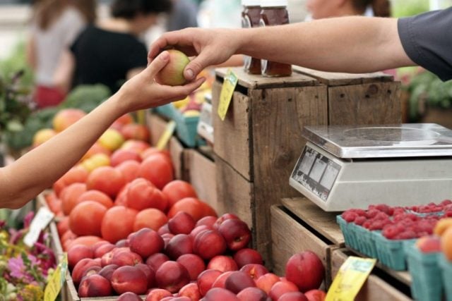 Convención Constitucional aprueba que es deber del Estado asegurar la soberanía y seguridad alimentaria