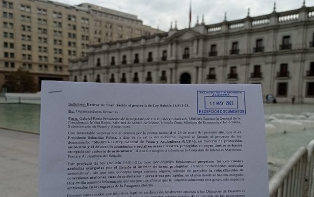 52 organizaciones solicitan al gobierno el retiro de proyecto de ley que permite la presencia de salmoneras en Áreas Protegidas