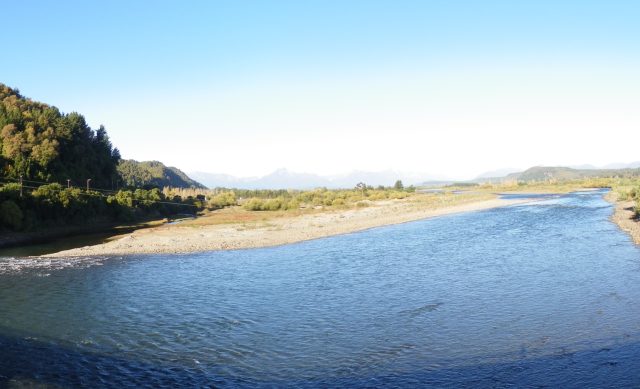 Conaf rechazó declarar a Central Rucalhue como interés nacional: Proyecto atenta contra especies nativas protegidas, como el guindo santo y el naranjillo