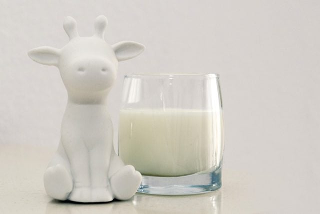 Crean una leche de vaca artificial con tecnología de cultivo de células de mamíferos