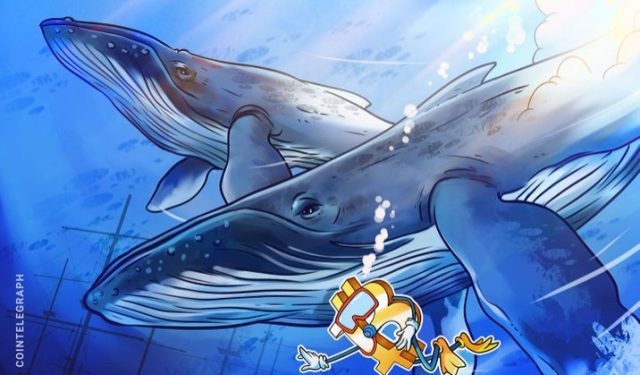 Ballenas de bitcoin siguen «hibernando» mientras el precio de BTC está acerca a los USD 21,000