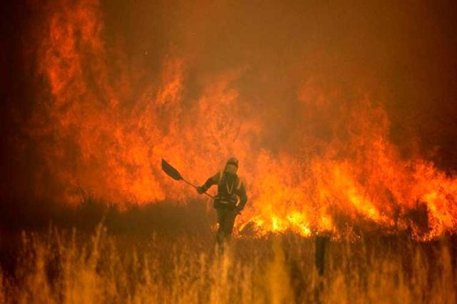 Incendios forestales en aumento complican más el intenso calor en España