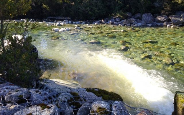 Piscicultura de salmones en Cochamó funcionaba con químicos y ducto de descarga no autorizados