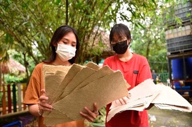 Ensayan en Vietnam elaboración de papel con excremento de elefantes