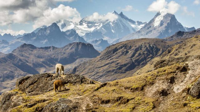 Descubren que la corteza terreste bajo la cordillera de los Andes está deshaciéndose