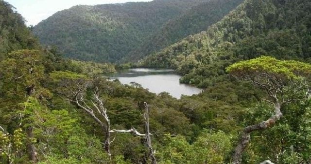 Claves Constituyentes: ¿Qué dice sobre medioambiente la propuesta de nueva Constitución?