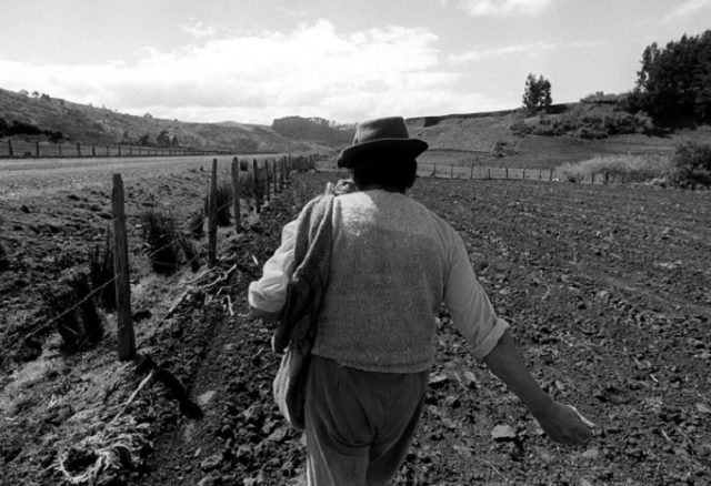 Día del campesino y campesina en Chile: Saludo y homenaje