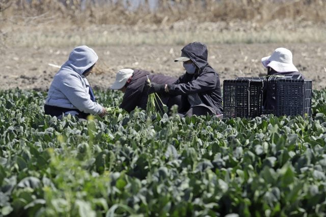 Tardará al menos cinco años para que México llegue a una estabilidad económica