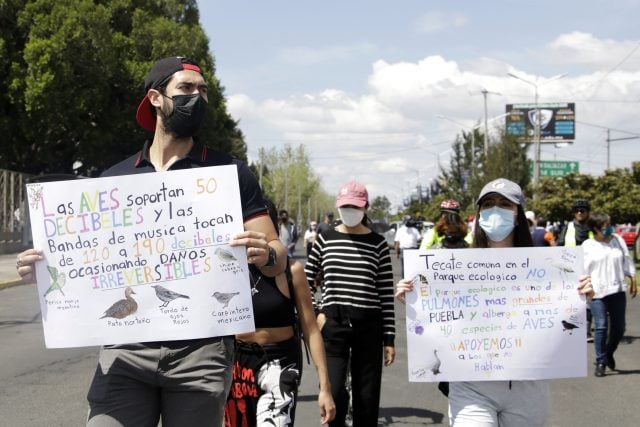 manifestación comuna