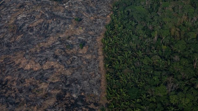 Incendios forestales en la Amazonía brasileña rompieron récord anual en julio