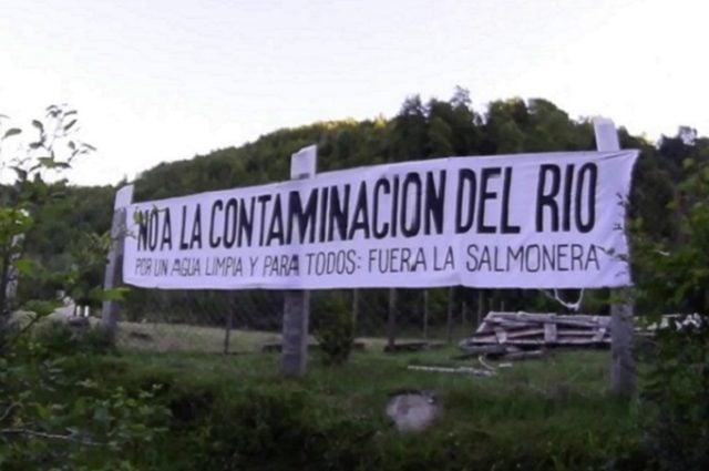 Comunidades mapuche de Villarrica denuncian que Corte de Temuco falló a favor de empresa de piscicultura salmonera que afecta al territorio