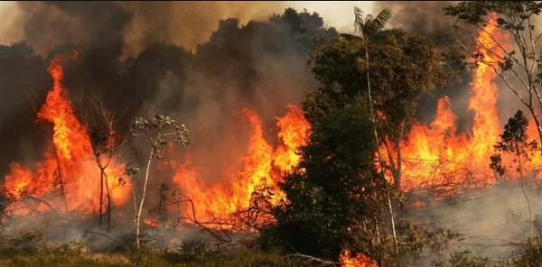 Amazonía brasileña sufre mayor foco de incendios en un día